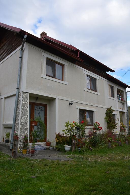 Pensiunea Margareta Sita Buzăului Exterior foto